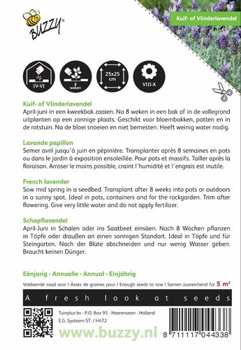 Buzzy® Lavandula, Kuif- of Vlinderlavendel - afbeelding 2