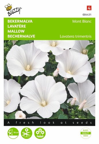 Buzzy® Lavatera, Bekermalva Mont Blanc - afbeelding 1