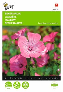 Buzzy® Lavatera, Bekermalva Roze/Rood - afbeelding 1