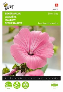 Buzzy® Lavatera, Bekermalva Silver Cup - afbeelding 1