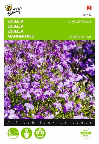 Buzzy® Lobelia Crystal Palace - afbeelding 1