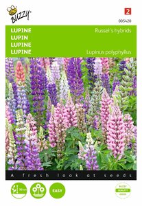 Buzzy® Lupinus, Lupine Russel’s Hybrids gemengd - afbeelding 1