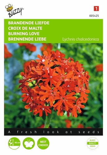 Buzzy® Lychnis, Brandende Liefde - afbeelding 1