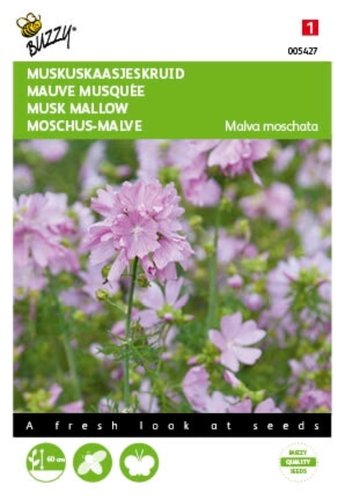 Buzzy® Malva, Muskus Kaasjeskruid roze - afbeelding 1