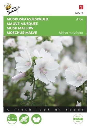 Buzzy® Malva, Muskuskaasjeskruid Alba wit - afbeelding 1