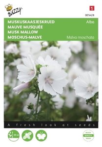 Buzzy® Malva, Muskuskaasjeskruid Alba wit - afbeelding 1