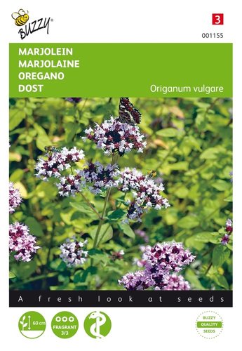 Buzzy® Marjolein - Oregano - afbeelding 1