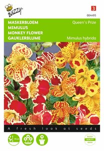 Buzzy® Mimulus, Maskerbloem Queen’s Prize gemengd - afbeelding 1