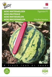 Buzzy® Mini-Watermeloen Tigrimini F1 - afbeelding 1