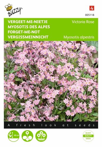 Buzzy® Myosotis, 'vergeet-me-nietje' Victoria Rose - afbeelding 1