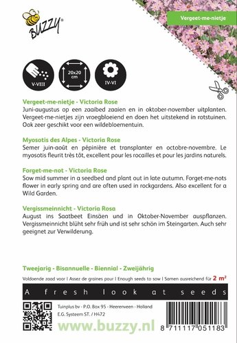 Buzzy® Myosotis, 'vergeet-me-nietje' Victoria Rose - afbeelding 2