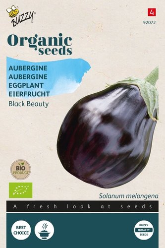Buzzy® Organic Aubergine Black Beauty (BIO) - afbeelding 1