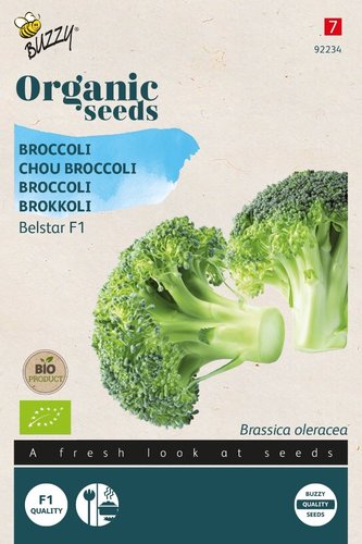 Buzzy® Organic Broccoli Belstar F1 (BIO) - afbeelding 1