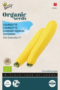 Buzzy® Organic Courgette Ola Gabriella F1 (BIO) - afbeelding 1