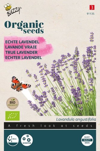 Buzzy® Organic Echte Lavendel  (BIO) - afbeelding 1