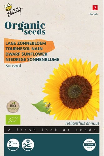 Buzzy® Organic Helianthus, Lage zonnebloem Sunspot (BIO) - afbeelding 1