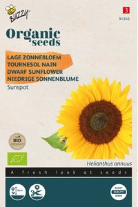 Buzzy® Organic Helianthus, Lage zonnebloem Sunspot (BIO) - afbeelding 1