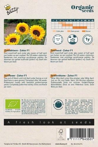 Buzzy® Organic Helianthus, Zonnebloem Zohar F1 (BIO) - afbeelding 2