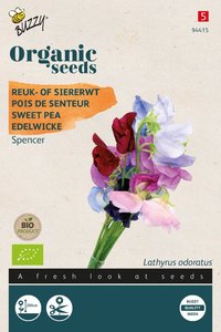 Buzzy® Organic Lathyrus, Reuk- of Siererwt Spencer (BIO) - afbeelding 1