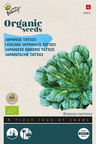 Buzzy® Organic Tatsoi (BIO) - afbeelding 1