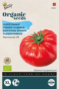 Buzzy® Organic Tomaat Marmande (BIO) - afbeelding 1