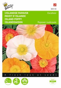 Buzzy® Papaver, IJslandse Excelsior gemengd - afbeelding 1