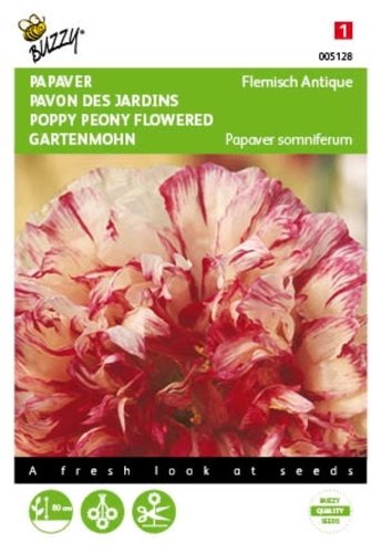 Buzzy® Papaver, Slaapbol Flemish Antique - afbeelding 1