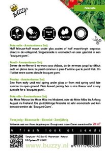 Buzzy® Peterselie Amsterdamse Snij - afbeelding 2