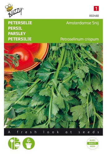 Buzzy® Peterselie Amsterdamse Snij - afbeelding 1