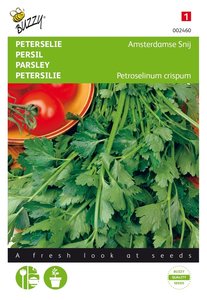 Buzzy® Peterselie Amsterdamse Snij - afbeelding 1