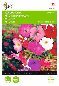 Buzzy® Petunia, hangend gemengd - afbeelding 1