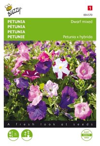 Buzzy® Petunia laag gemengd - afbeelding 1