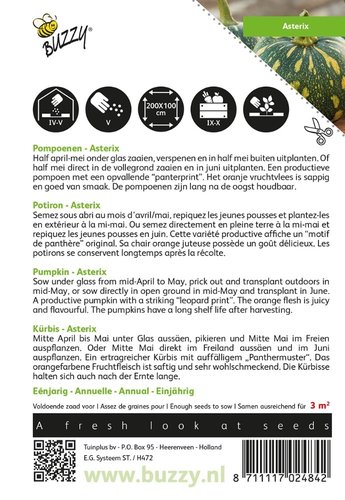 Buzzy® Pompoen Asterix (Panterprint) - afbeelding 2