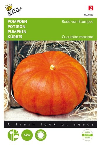 Buzzy® Pompoen Rode van Etampes - afbeelding 1