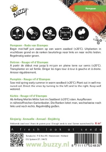 Buzzy® Pompoen Rode van Etampes - afbeelding 2