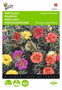 Buzzy® Portulaca dubbelbloemig gemengd - afbeelding 1