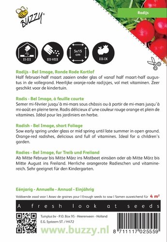 Buzzy® Radijs Bel Image, Ronde Rode Kortlof - afbeelding 2