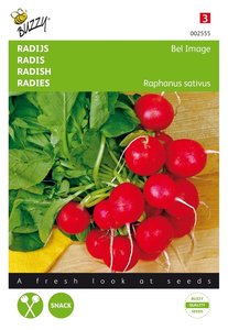 Buzzy® Radijs Bel Image, Ronde Rode Kortlof - afbeelding 1