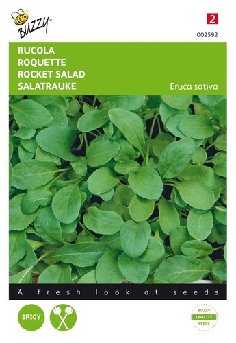 Buzzy® Rucola, Italiaanse snijgroente - afbeelding 1
