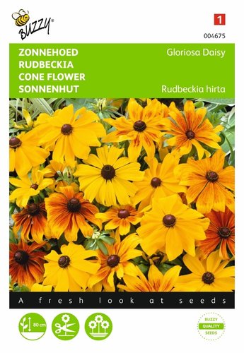 Buzzy® Rudbeckia, Zonnehoed Gloriosa Daisy - afbeelding 1