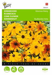 Buzzy® Rudbeckia, Zonnehoed Gloriosa Daisy - afbeelding 1