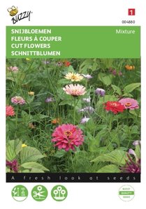 Buzzy® Snijbloemen Mengsel - afbeelding 1