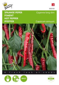 Buzzy® Spaanse Peper Cayenne long slim - afbeelding 1