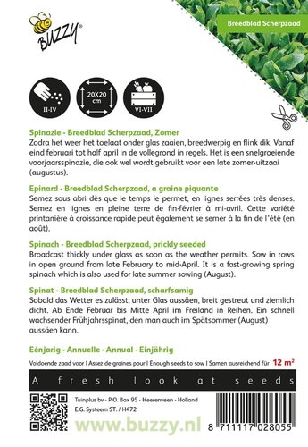 Buzzy® Spinazie Breedblad Scherpzaad zomer - afbeelding 2