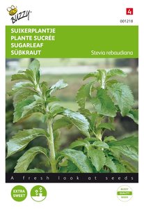 Buzzy® Stevia, Suikerplantje of Honingkruid - afbeelding 1