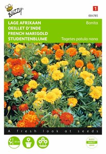 Buzzy® Tagetes, lage Afrikaan Bonita - afbeelding 1