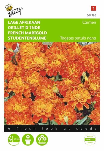 Buzzy® Tagetes, lage Afrikaan Carmen - afbeelding 1