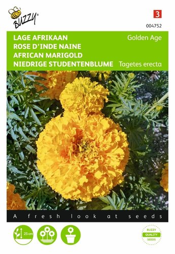 Buzzy® Tagetes, lage Afrikaan Golden Age - afbeelding 1