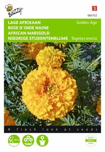 Buzzy® Tagetes, lage Afrikaan Golden Age - afbeelding 1