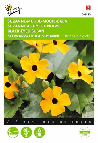 Buzzy® Thunbergia, Suzanne-met-de-mooie-ogen - afbeelding 1